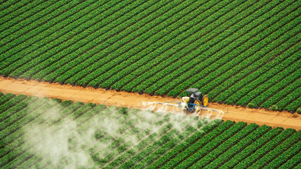 Reliable Pen Argyl, PA Pest Control Solutions